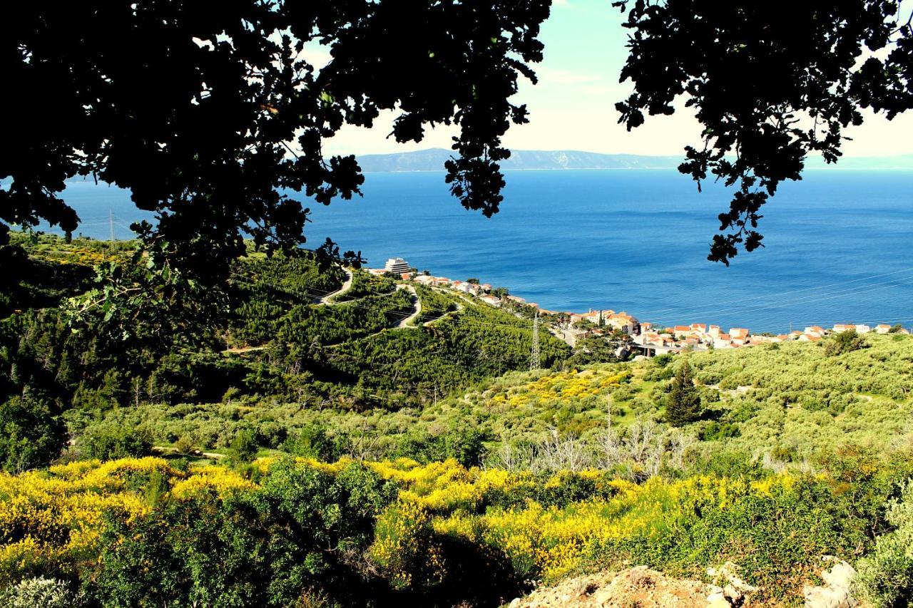 Villa " Davorka" Podgora Eksteriør billede
