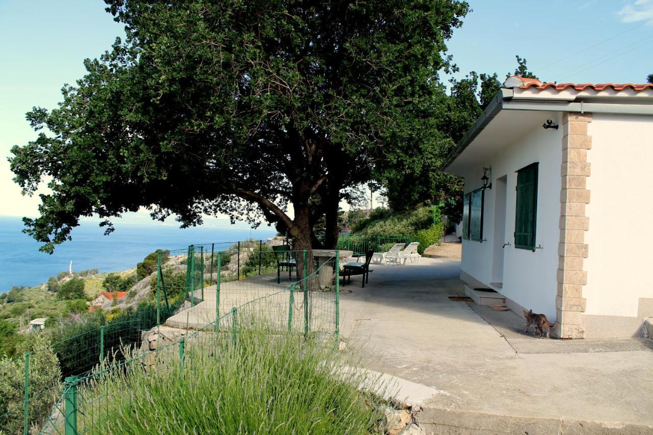 Villa " Davorka" Podgora Eksteriør billede