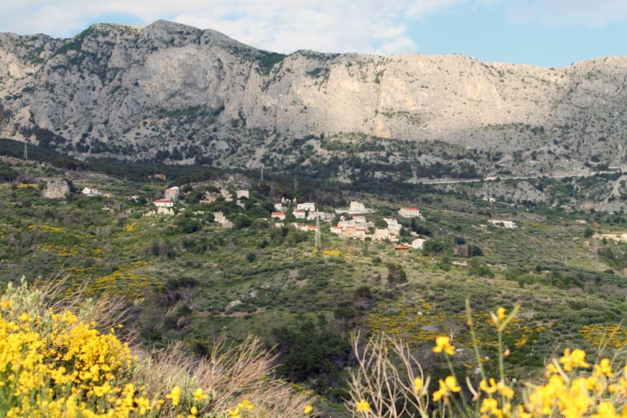 Villa " Davorka" Podgora Eksteriør billede