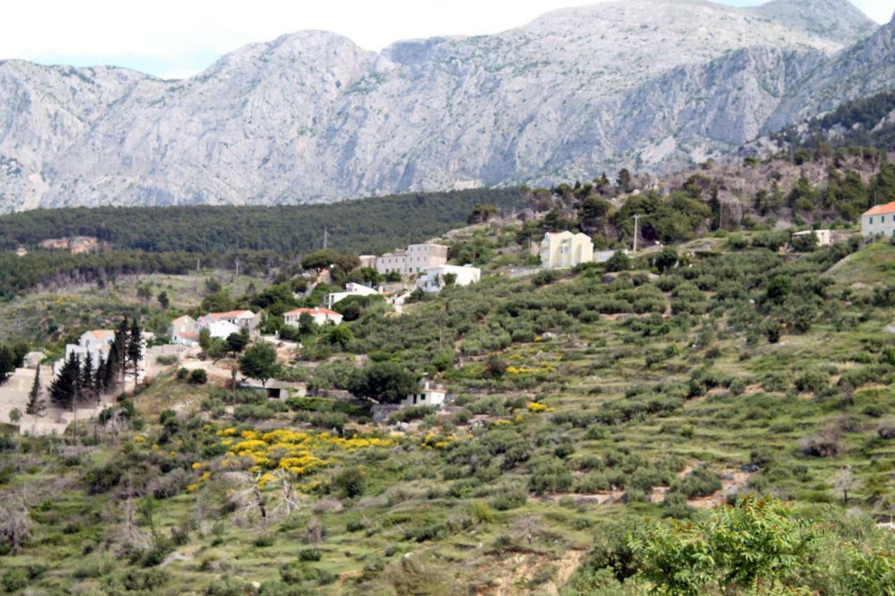 Villa " Davorka" Podgora Eksteriør billede