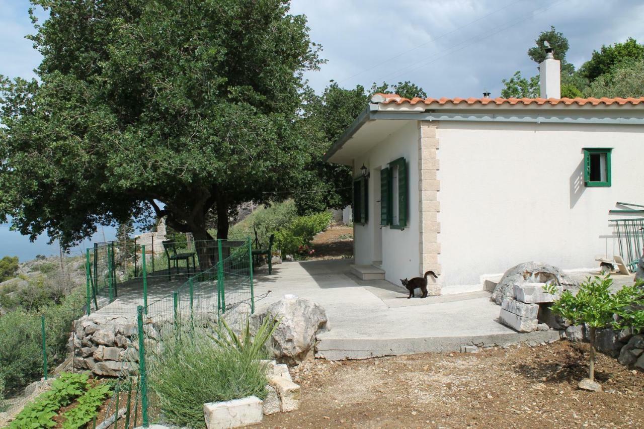 Villa " Davorka" Podgora Eksteriør billede