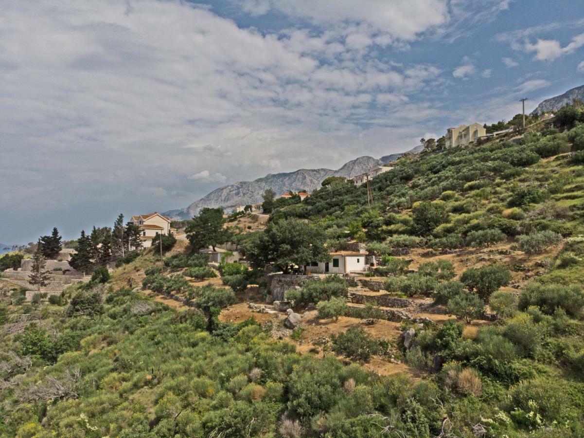 Villa " Davorka" Podgora Eksteriør billede